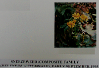 sneezeweed.gif